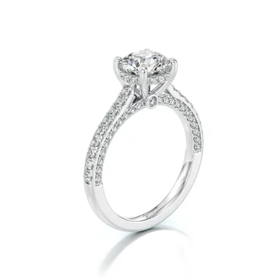 Pegasus Ring — Photo 4