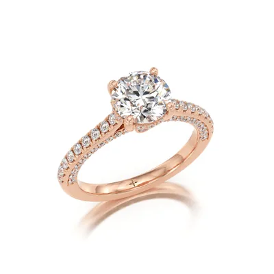 Pegasus Ring — Photo 5